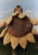 b9dfea4adfcf0eff22319399f8440600