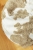 069f11559056b1643de8d776fff5a56f