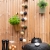 cotton-ball-lights-outdoor-light-string-cazar-mood-04.jpg