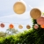 cotton-ball-lights-outdoor-light-string-dulce-mood-04.jpg