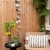 cotton-ball-lights-outdoor-light-string-sombra-mood-02.jpg