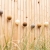 cotton-ball-lights-outdoor-light-string-caramelo-mood-01.jpg