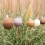 cotton-ball-lights-outdoor-light-string-caramelo-mood-03.jpg