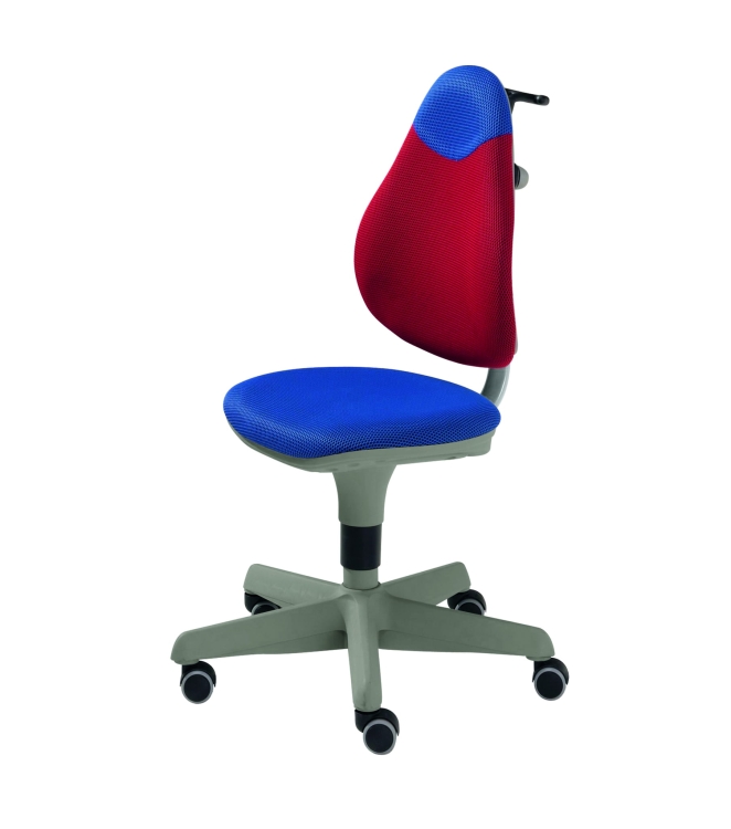 PAIDI-12_Pepe_Blau-Rot.jpg